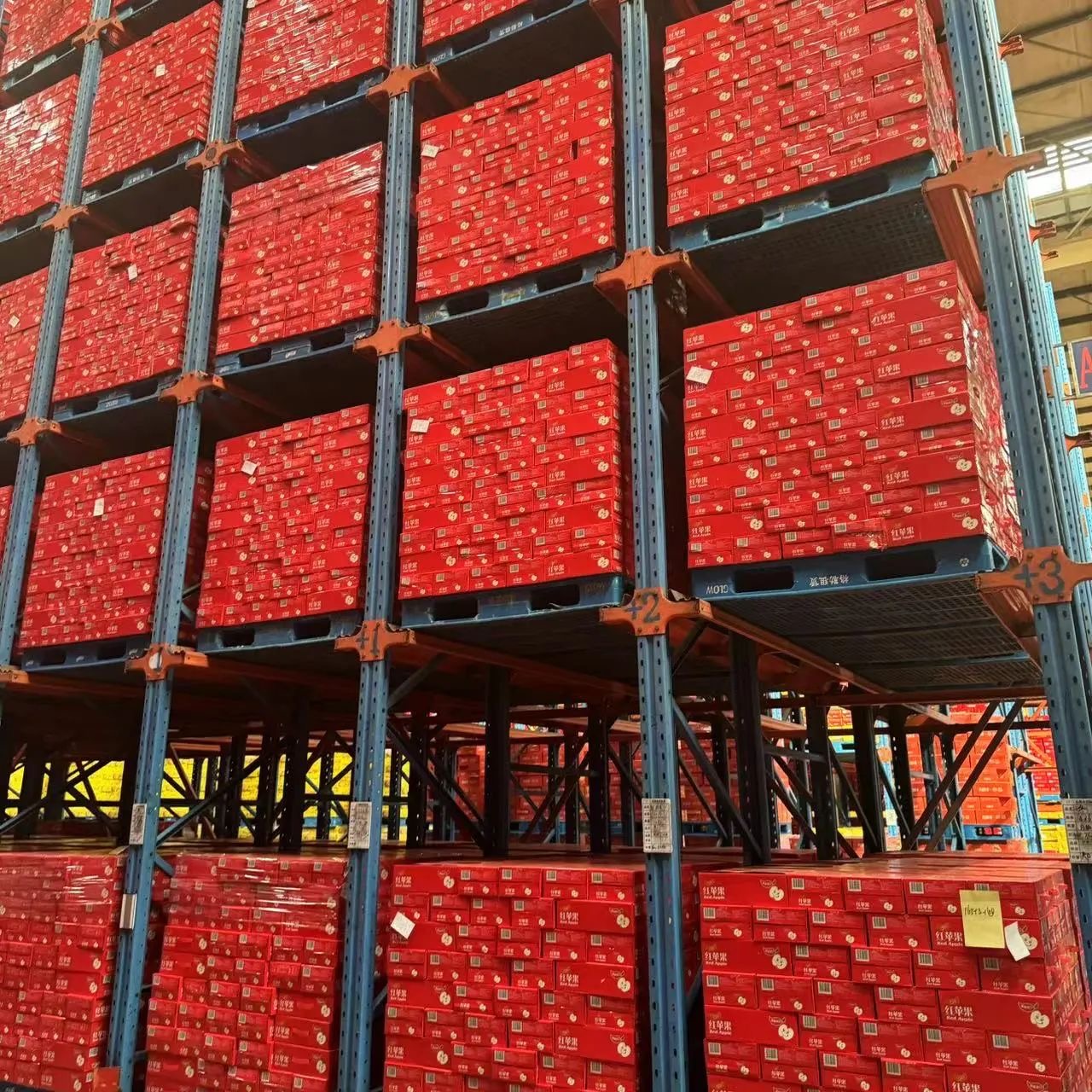 1719804871907540.jpg 微信图片_20240701113107.jpg